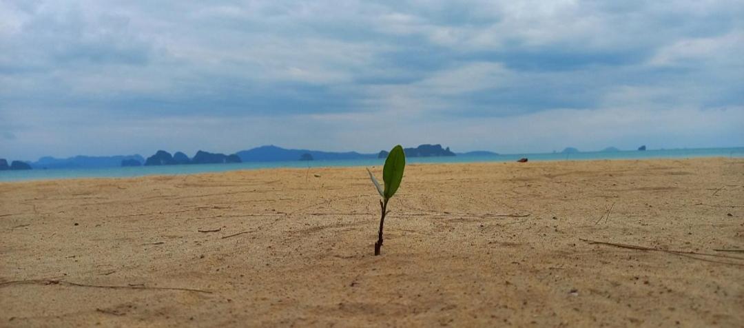 Koh Yao Noi Beach Resort Exterior photo